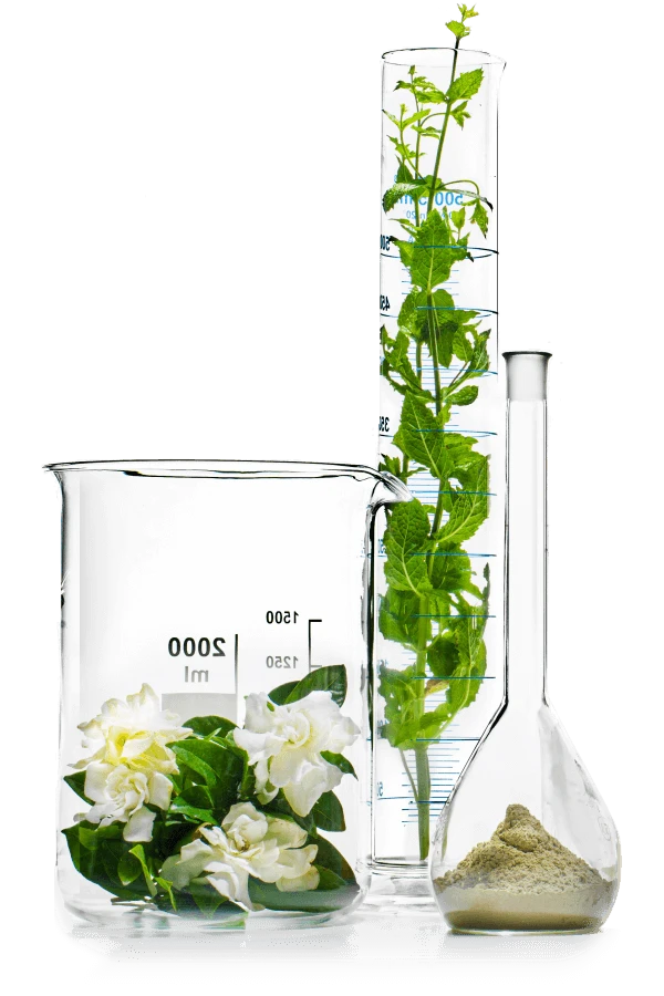 Rhea Cosmetics