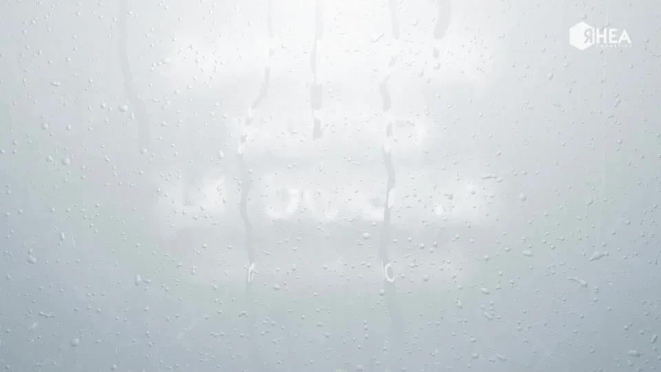 How to ShowerClay